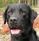 Användarens profilbild